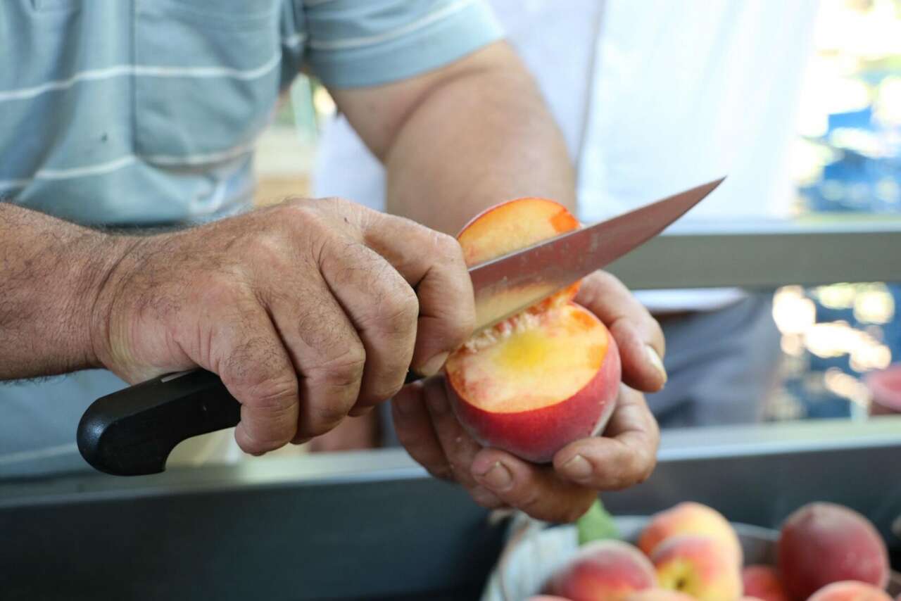 Üreticisi bu yıl bayram yapıyor! Bir ağaçta 70 kilo şeftali var 12